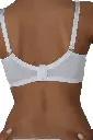 148-006855-2.webp