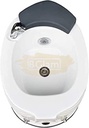 Elongated Pedicure Tub with Massage, Lights & Pull-Out Sprayer
