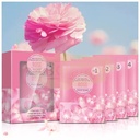 4-in-1 Foot Care Set (Foot Soak, Foot Salt Scrub, Foot Mud Mask & Foot Lotion) - Rose